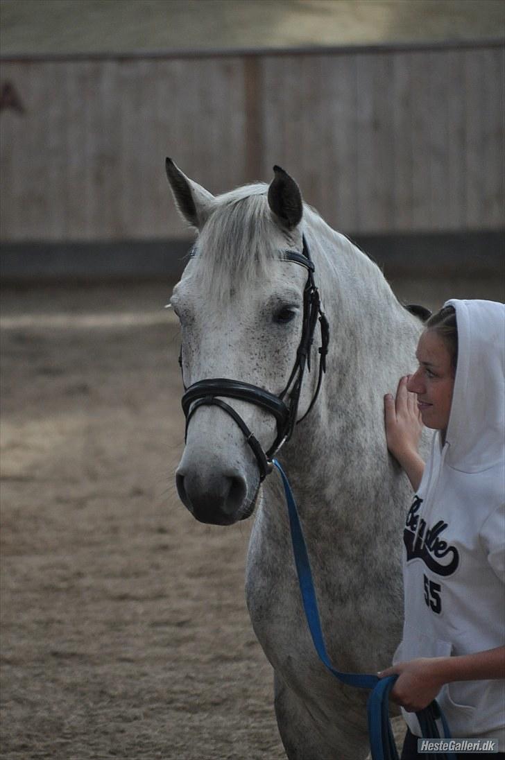 Anden særlig race | Chello Højgård | billede 7
