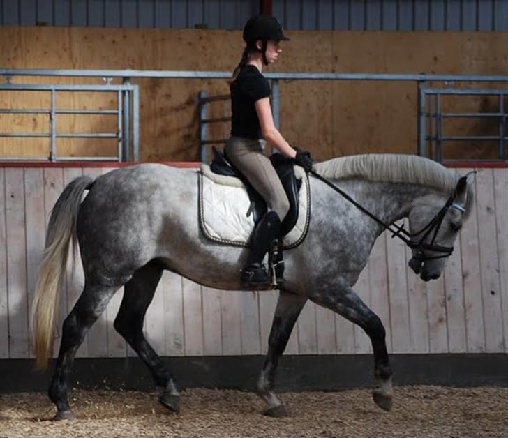 Anden særlig race | Chello Højgård | billede 11