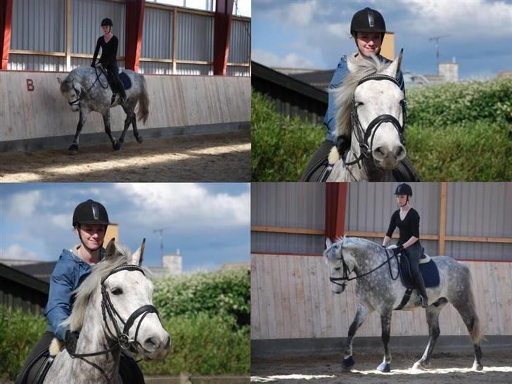 Anden særlig race | Chello Højgård | billede 14