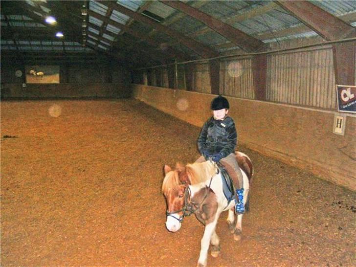 Anden særlig race Indianajones <333 R.I.P - her har jeg ridetime rider på verdens dejligste pony indianajones. billede 5