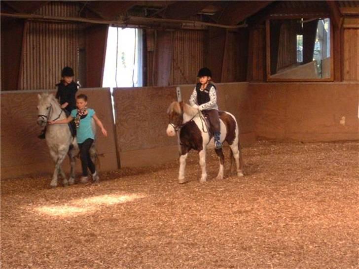 Anden særlig race Indianajones <333 R.I.P - på indi og Kathrine på Gimli. og Maria som trækker gimli.Hehe billede 7