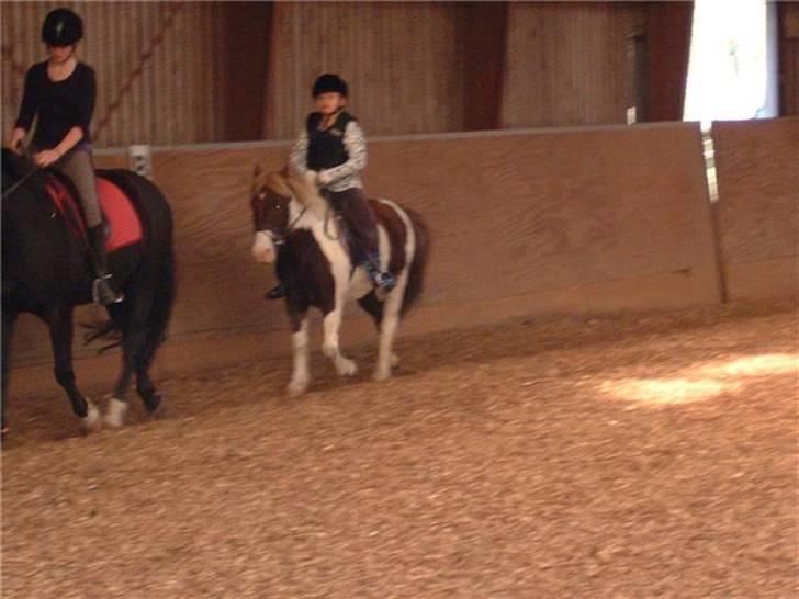 Anden særlig race Indianajones <333 R.I.P - Det er mig og indi bagest og en pige på pepper billede 8