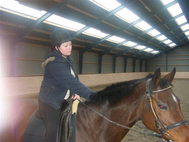 Anden særlig race Sheza - Leveret tilbage   - Vores første tur i ridehuset det nye sted billede 6