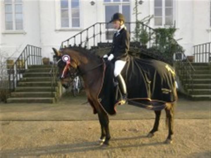 New Forest Bjørndal's Artist - Artist 2 plads klub cup finale 2009 DAR<3 billede 18