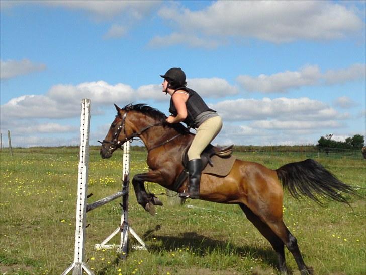 Anden særlig race $unshine<3 R.I.P:'( - 12: træning juli10 11 år billede 12