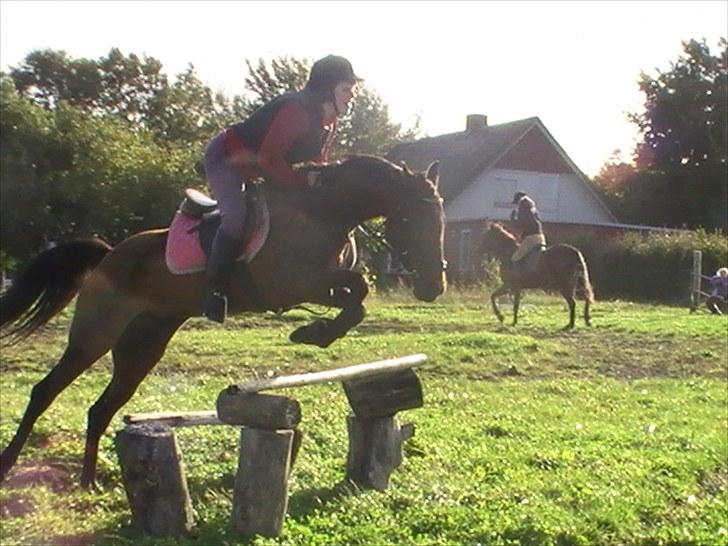 Anden særlig race $unshine<3 R.I.P:'( - 13: træning sep10 11 år billede 13