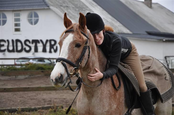 Anden særlig race Zafir R.I.P. billede 1
