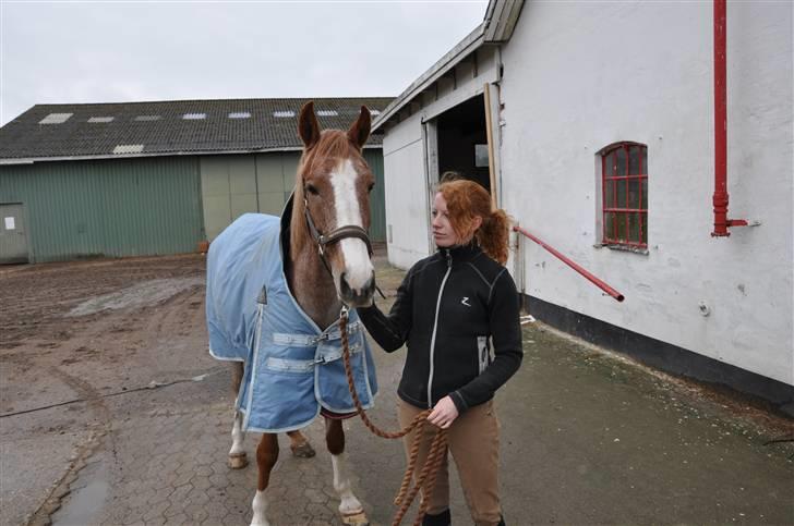 Anden særlig race Zafir R.I.P. billede 5