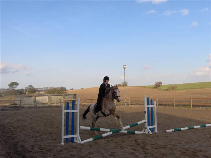 Anden særlig race Zafir R.I.P. billede 10