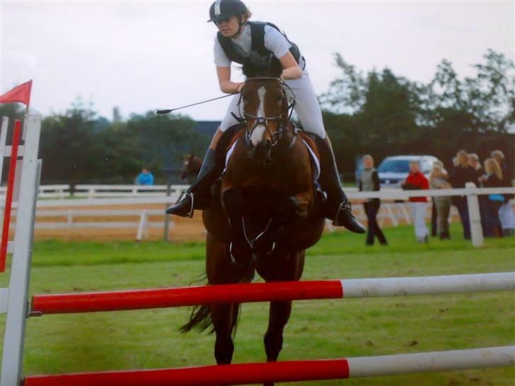 Tysk Sportspony Pamina - Det skønneste egern<3 - Søhøjlandets cup 2009 - 3.plads. billede 15