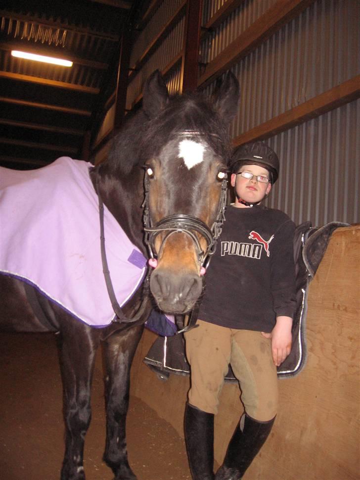 New Forest belina billede 9