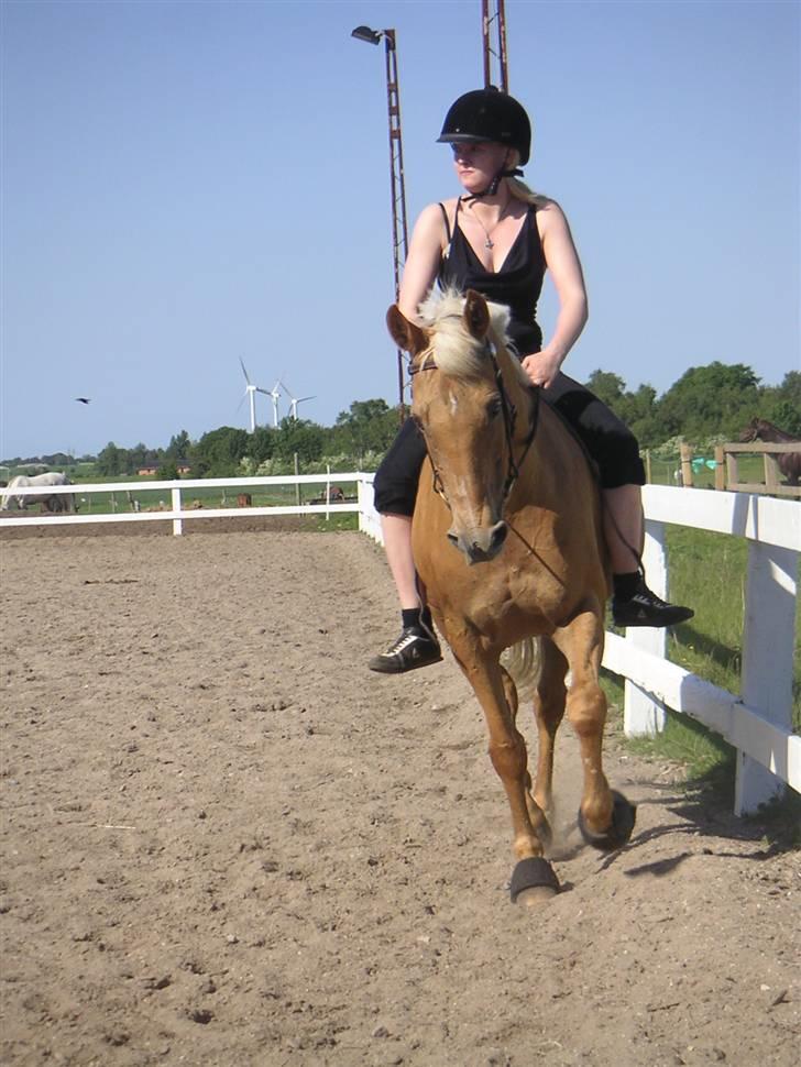 Cruzado Cabosa <3 (SOLGT/:) R.I.P - Mig og Cabosa d. 25/5-09 billede 2