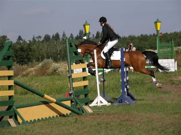 Sportsaraber (A) Chanel - Springstævne på Brændte Ege 2008 - LB billede 11