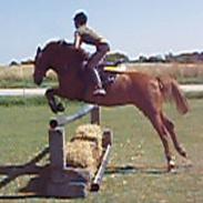 Anden særlig race Bakkegårdens Beauty Star