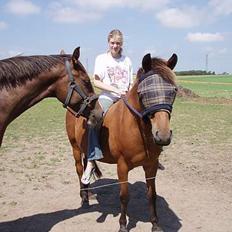 Anden særlig race Pixi *Død*