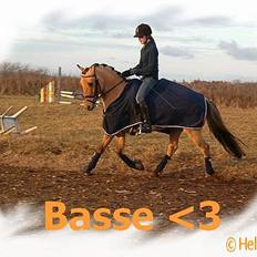 Anden særlig race #Basse# 