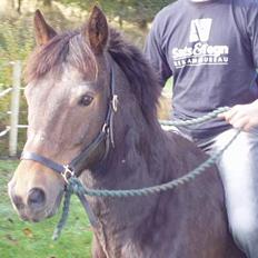 Anden særlig race Frederik - R.I.P. :'(