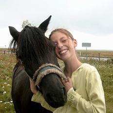 Anden særlig race Prins