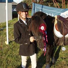 Anden særlig race Prins