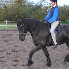 Frieser Oliver fra friesenborg