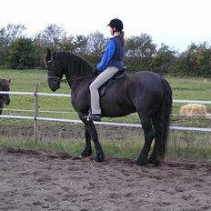 Frieser Oliver fra friesenborg