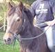 Anden særlig race Frederik - R.I.P. :'(