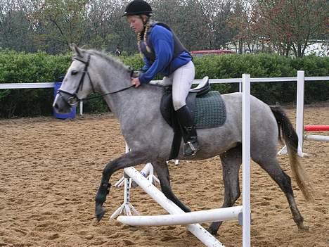 Anden særlig race lucky billede 1