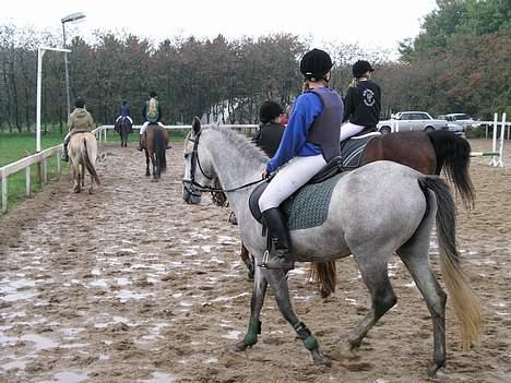 Anden særlig race lucky billede 5