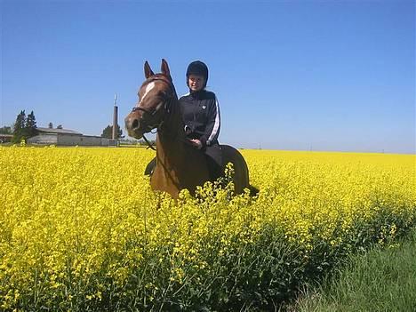 DSP Firhøjs Nobi R.I.P :'( - (Foto by: Maya, min vidunderlige part) billede 15