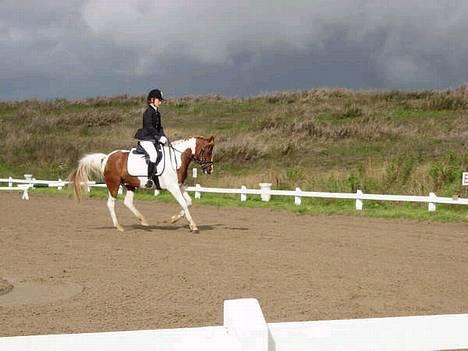 Pinto Mikki - Stævne i Diernæs Øgning skråt i gennem galop billede 15