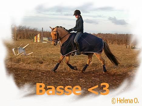 Anden særlig race #Basse#  - Redigeret billede © billede 1