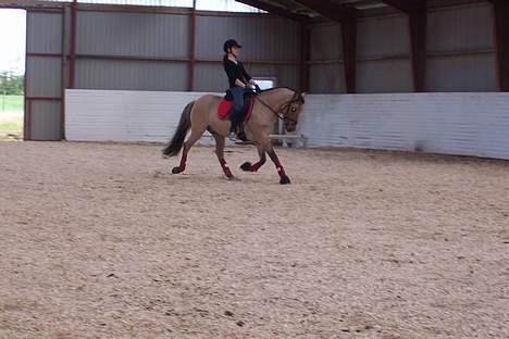 Anden særlig race #Basse#  - En øgning skråt igennem billede 4