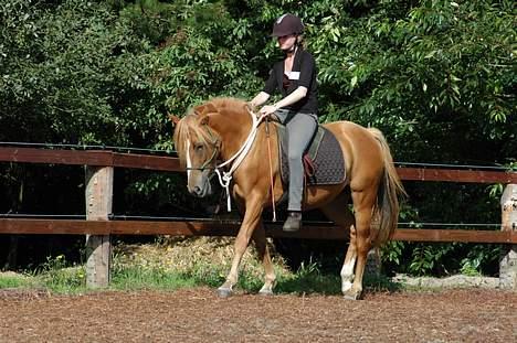 Anden særlig race Campari billede 12