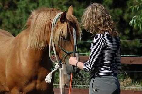 Anden særlig race Campari billede 13