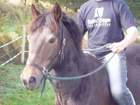 Anden særlig race Frederik - R.I.P. :'( - Ham den frække frederik! hehe billede 1