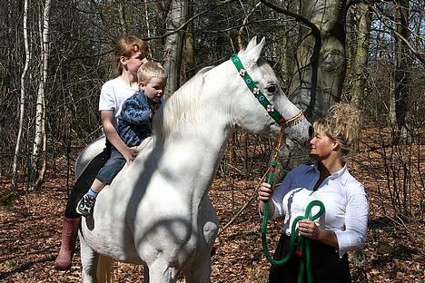 Arabisk fuldblod (OX) Basta R.I.P. blev 27½ år - Melissa - Finn - Basta & Marianne på Bastas 26 års fødselsdag 2006 billede 9