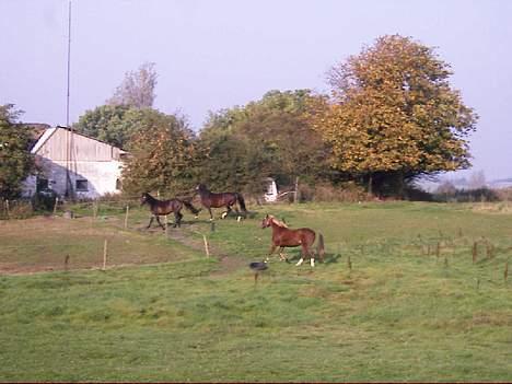 DSP Madonna - Uh hvor det går - oktober 05 billede 10