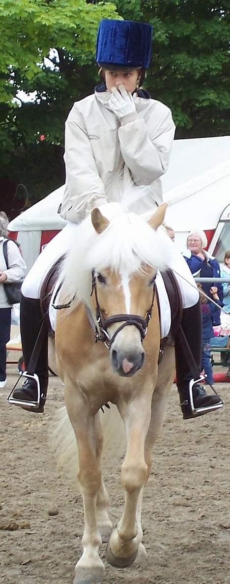 Tyroler Haflinger Harla (død maj 2007)  - Roskilde dyrskue (opvarmning til det store hesteshow) billede 2