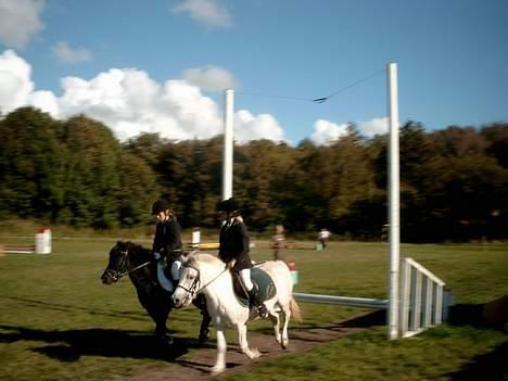 Anden særlig race Prins - Parspring med Looouie.. <3 Hun rider på Natasja.  billede 5