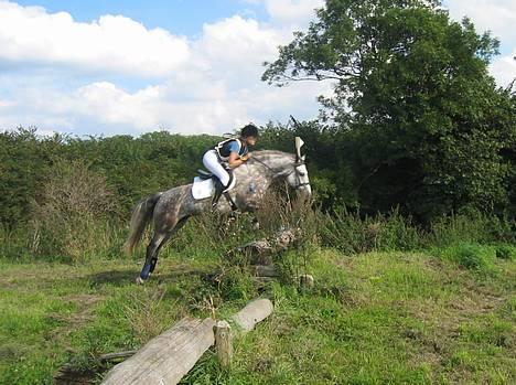 Connemara Baunely's Daphne - Opvarming til terrænspringning. Hun sprang det hele ved første militarystævne! 2/9-06 billede 16