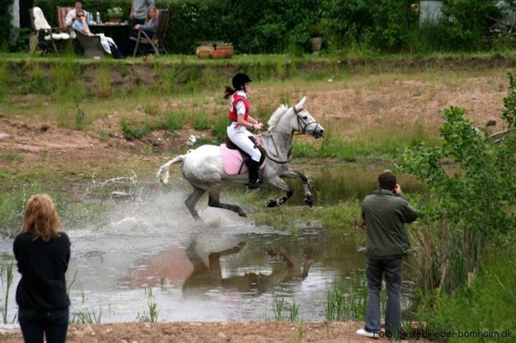 Connemara Fantacy *solgt* - CNCP1* billede 2