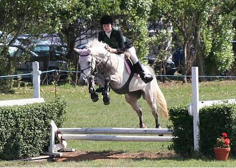 Connemara Fantacy *solgt* - Distriktmesterskab 2006 billede 3