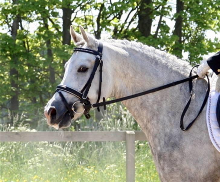 DSP Mon Dieu - Mon Dieu <3 billede 1