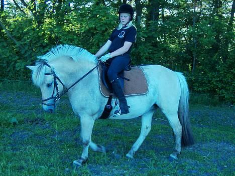Fjordhest bell - mig og min elskede pony<33 billede 3
