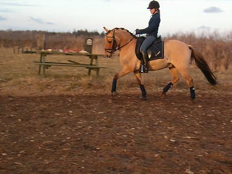 Anden særlig race #Basse#  - Basse <3 billede 5