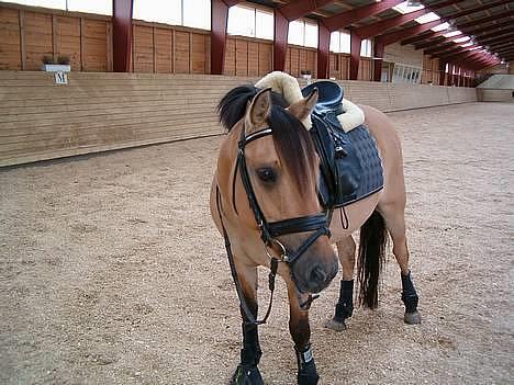 Anden særlig race #Basse#  - Mig og Basse hvor jeg er over og se ham på det nye sted <3 Han har det så godt <3 9/9-06 billede 6