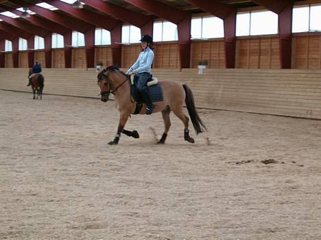 Anden særlig race #Basse#  - Nyt Basse´s nye hjem <3 9/9-06 billede 8
