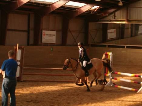 Anden særlig race #Basse#  - Basse til Stævne på Fyn billede 11
