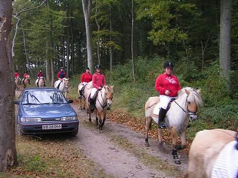 Fjordhest Vængets Liza - Liza og jeg til hubertusjagt 2005 billede 12