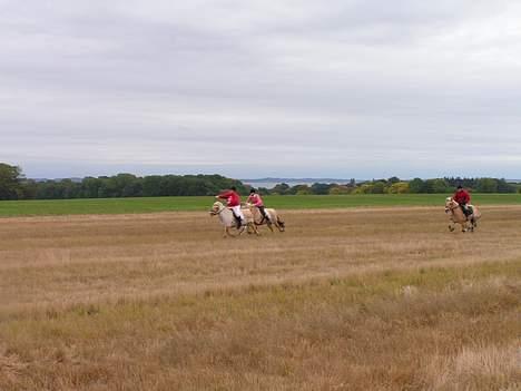 Fjordhest Vængets Liza - Liza og jeg  i opløb på hubertusjagt 2005 (VI VANDT) billede 13